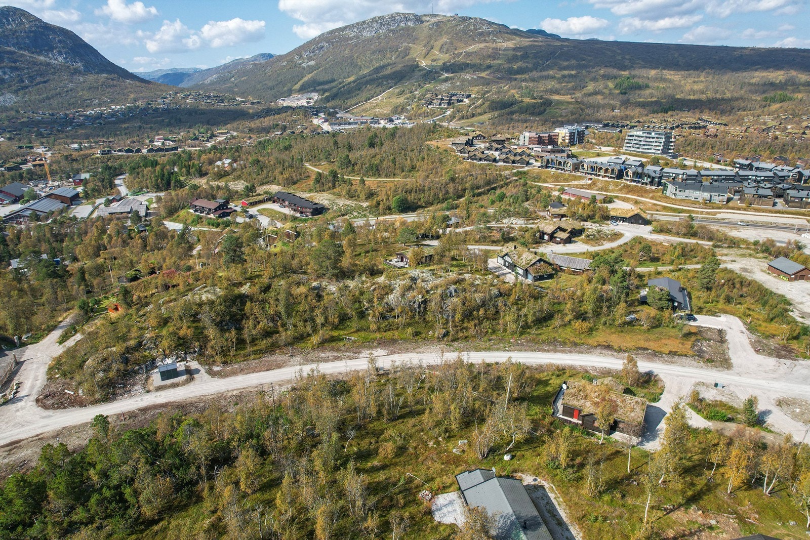 Fjellbjørkvegen Galleribilde