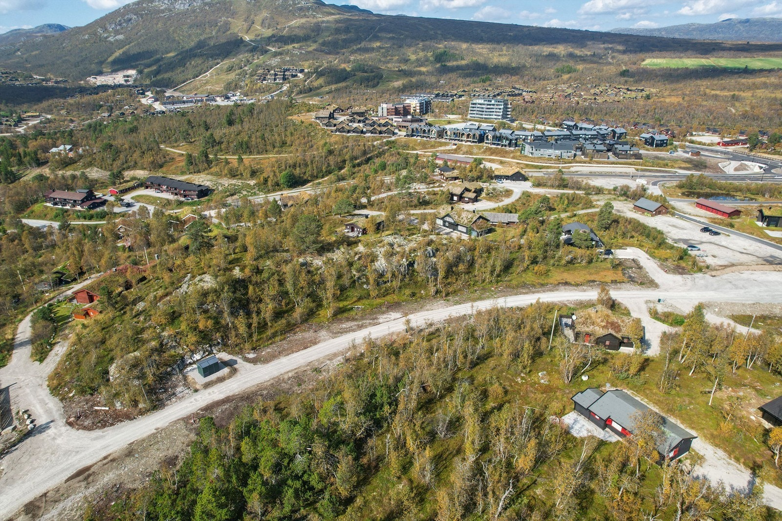 Fjellbjørkvegen Galleribilde