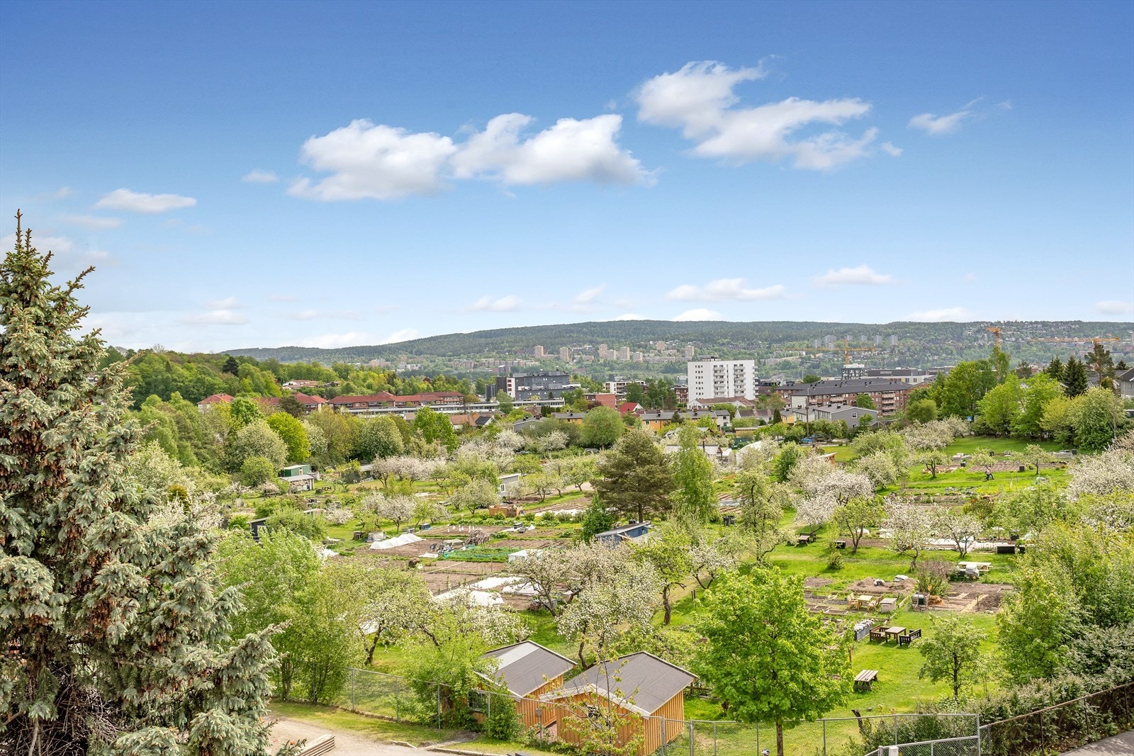 I nærheten av leiligheten ligger Brobekk skolehage som omfatter et område på 20 mål med ca. 100 parseller. Her er det er mulig å leie hageparsell for å dyrke egne grønnsaker, urter eller blomster. Galleribilde