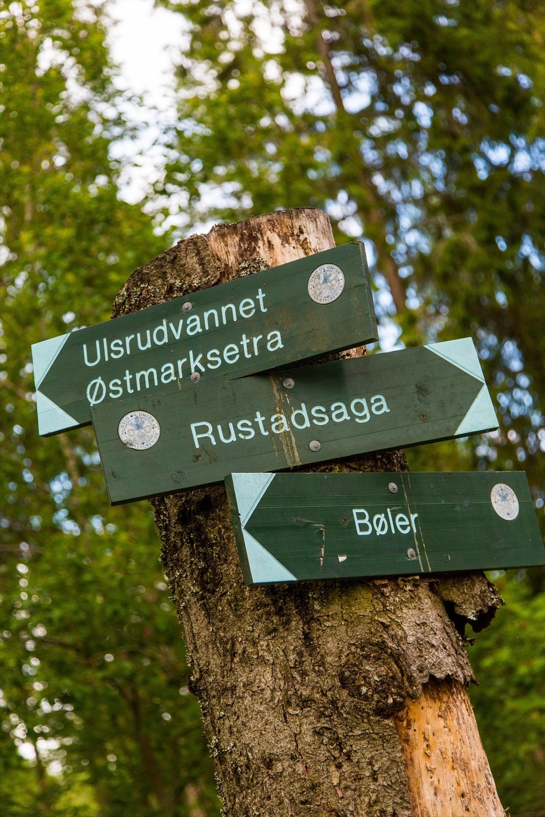 Med Østmarka like i nærheten ligger alt til rette for noen spennende helgeutflukter, middager i friluft og spontane bad en varm sommerdag! Galleribilde