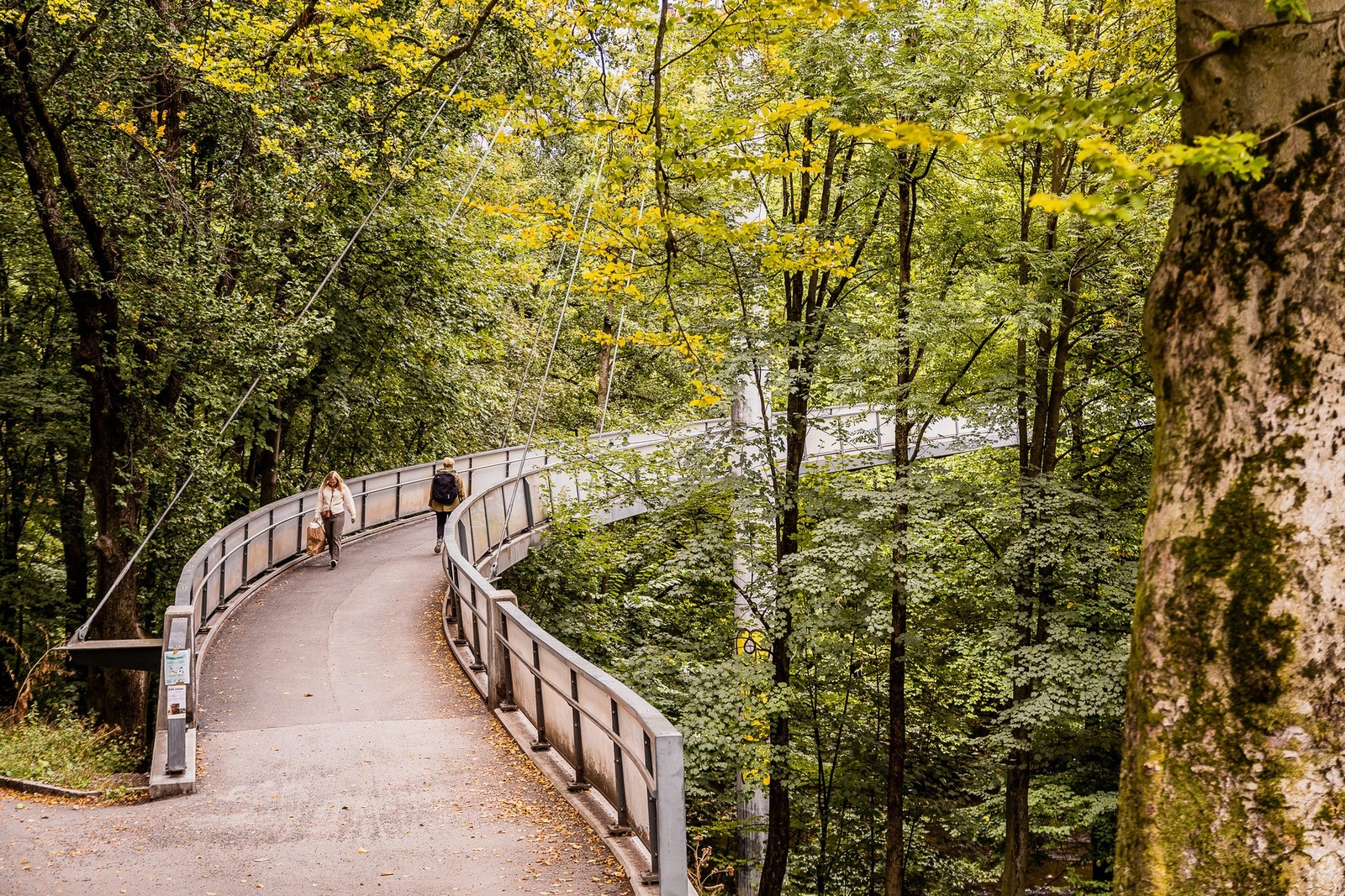 Hyggelige turområder rett ved! Galleribilde