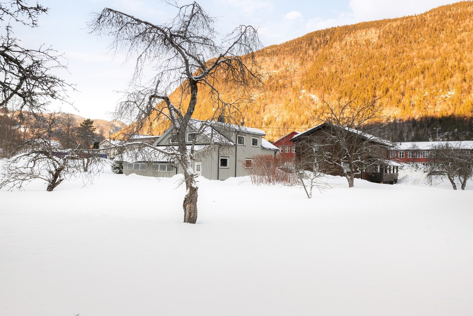 Dalen er et lite, koselig tettsted beliggende i hjertet av Telemark, ved den vestre delen av innsjøen Bandak, som er en del av den idylliske Telemarkskanalen! Galleribilde