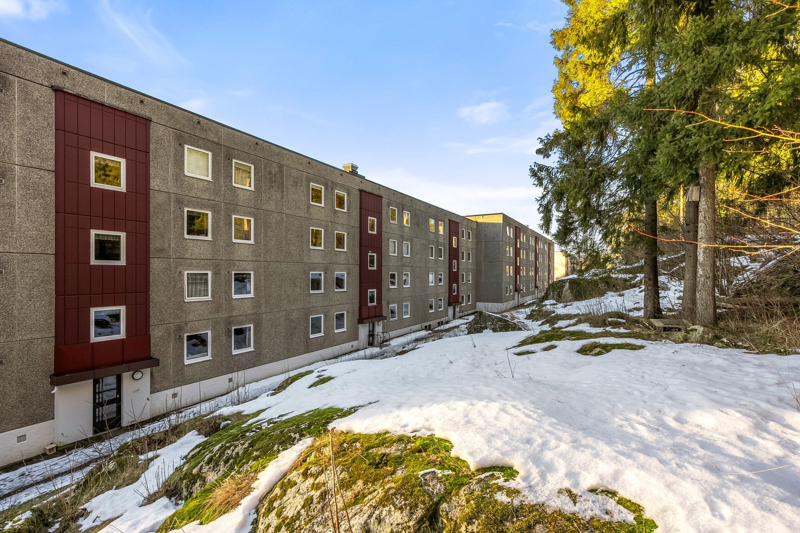 Baksiden av blokka ligger rolig til mot idyllisk skogholt. Galleribilde