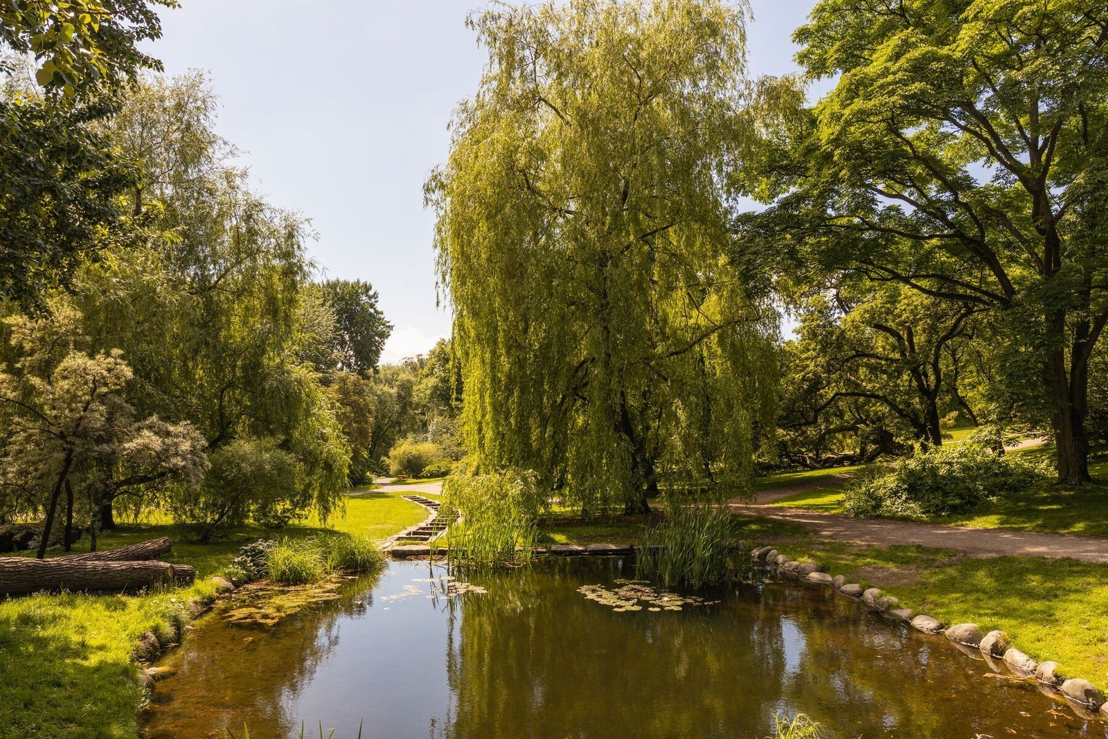 I Botanisk hage finner du flotte rekreasjonsmuligheter. Galleribilde