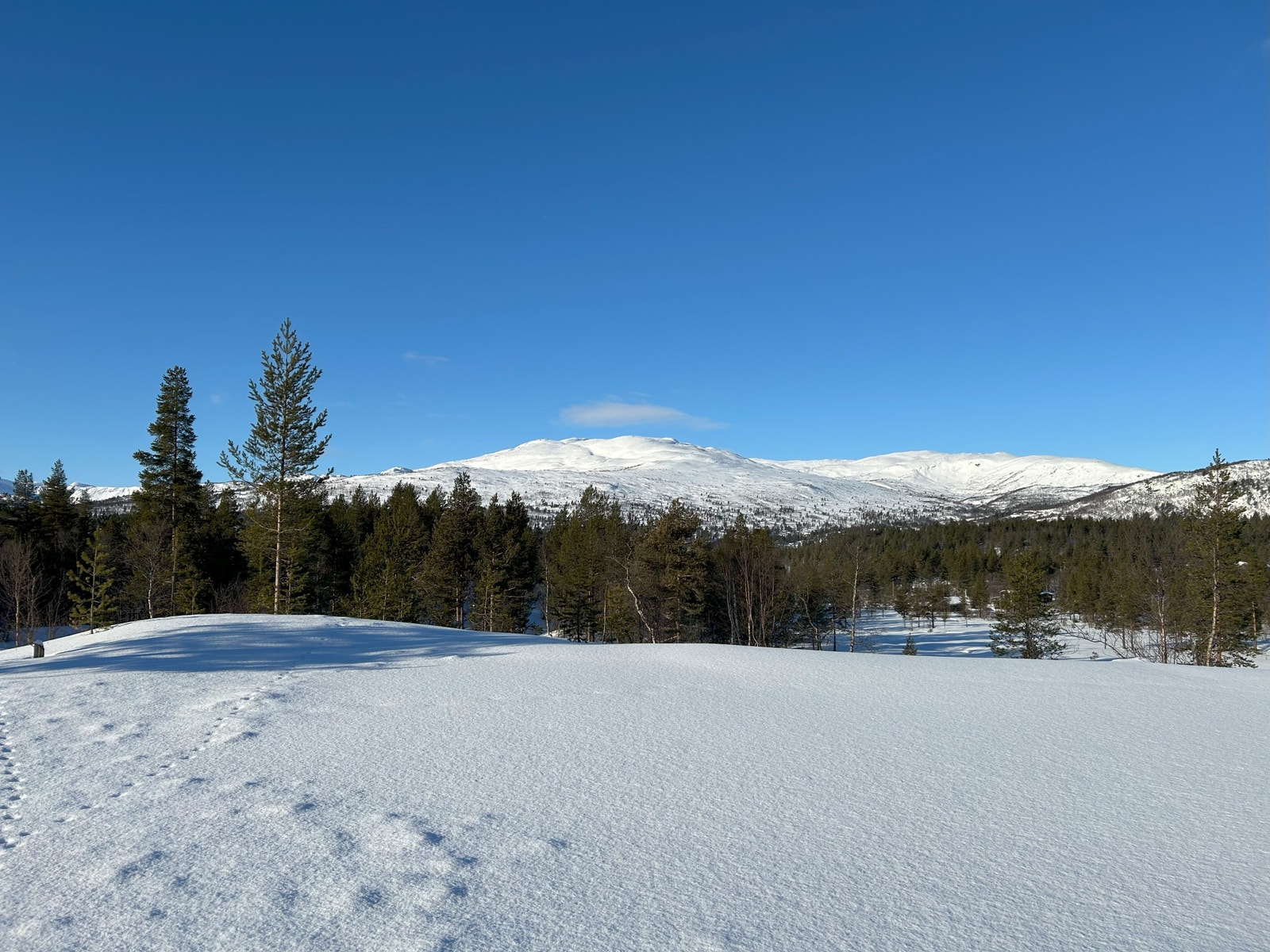 Nydelig utsikt fra tomt 1 Galleribilde