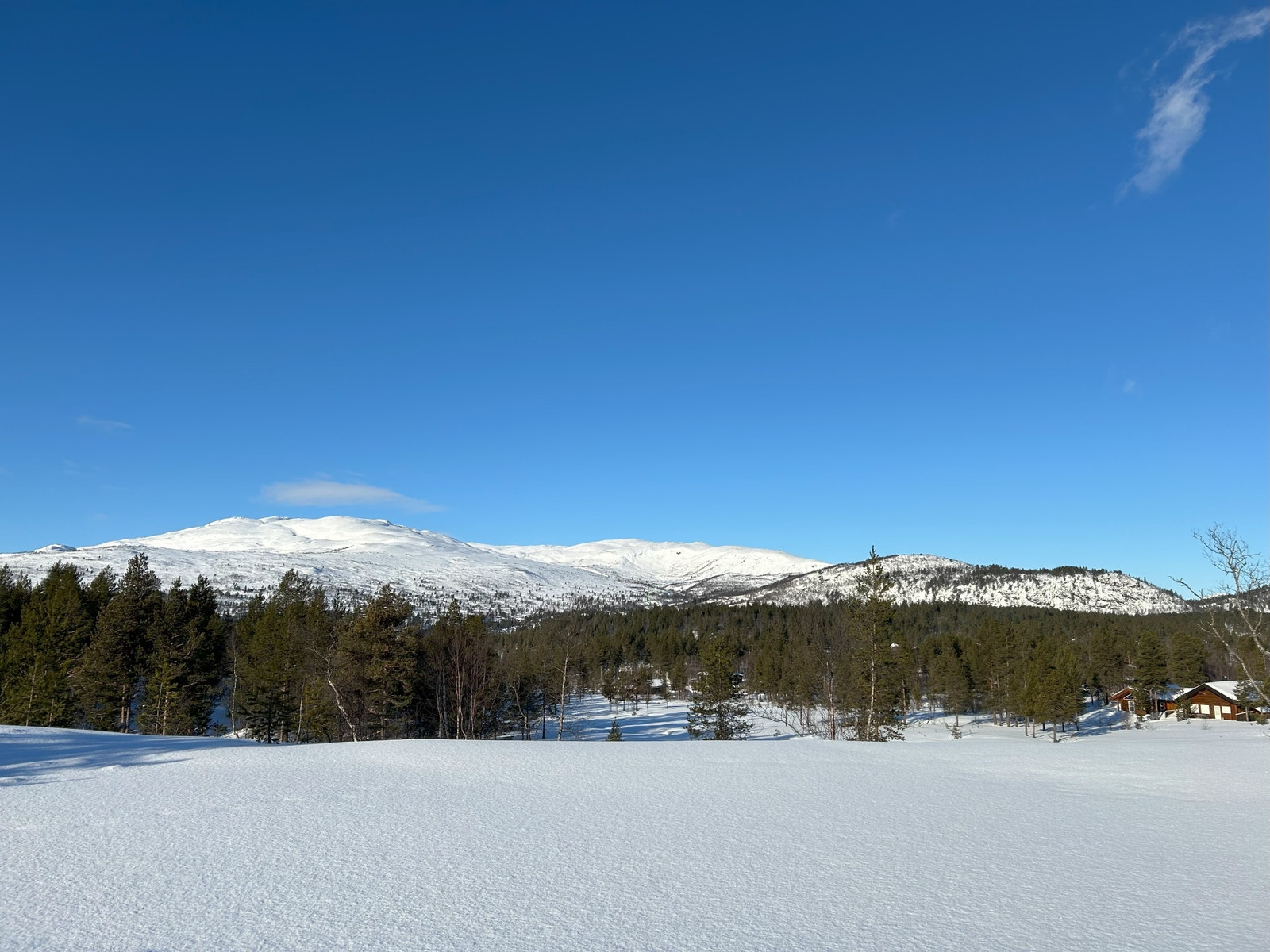 Tomt 2 har en fantastisk utsikt Galleribilde