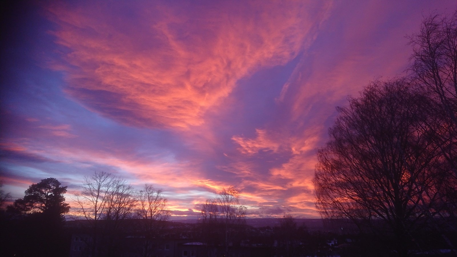 Privat bilde tatt av selger. Galleribilde