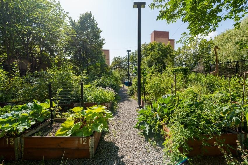 Borettslaget har parseller for hageinteresserte Galleribilde