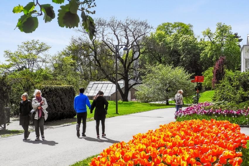 Kort gangavstand til vakre Botanisk Hage Galleribilde