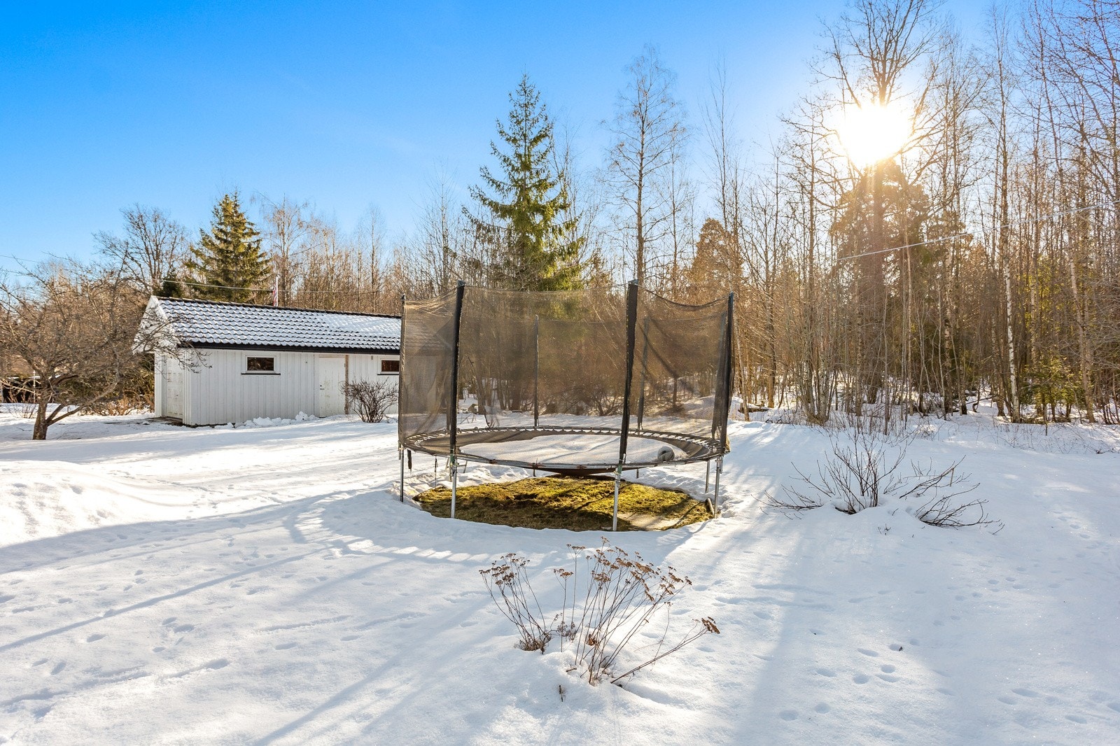 Nydelig skjermet hage som grenser til Byskogen - Ikke uvanlig å se rådyr rusle rundt i skogsgrensen Galleribilde