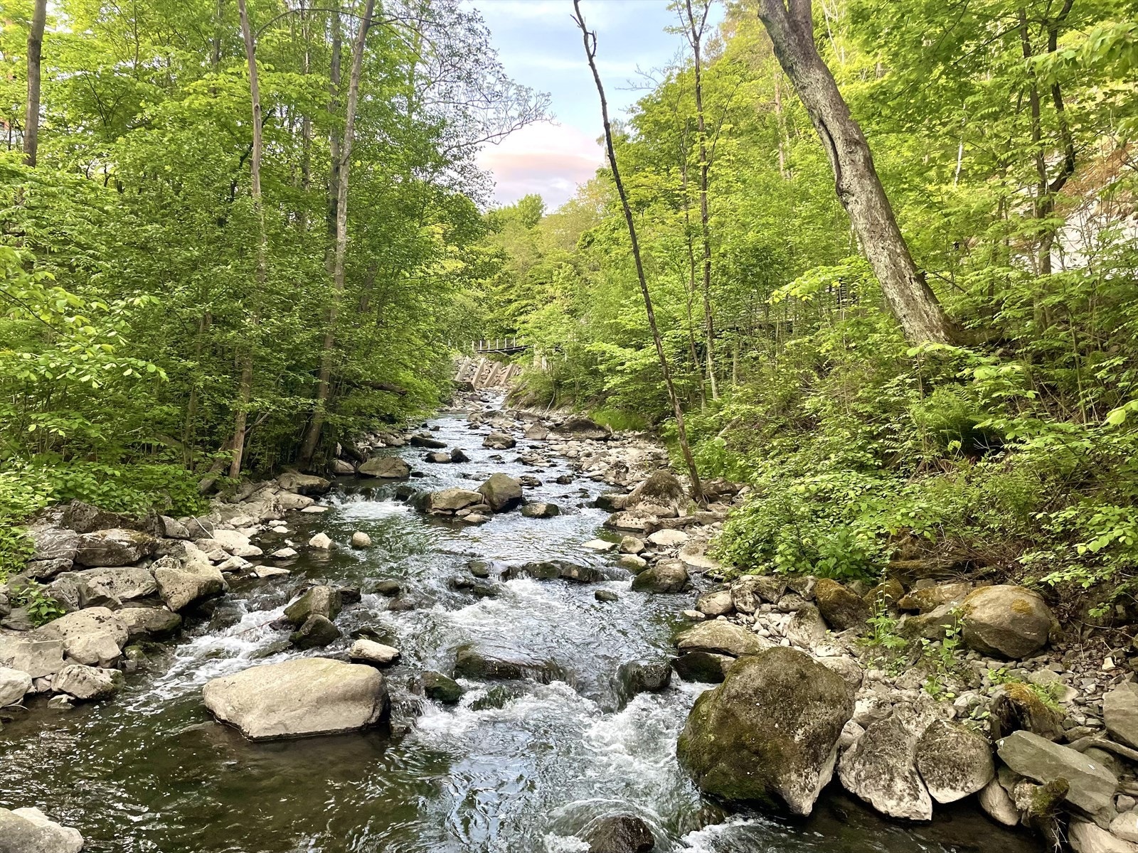 Nydelige Svartdalsparken, med Alnaelva som renner gjennom er et attraktiv turområde i naturskjønne omgivelser Galleribilde
