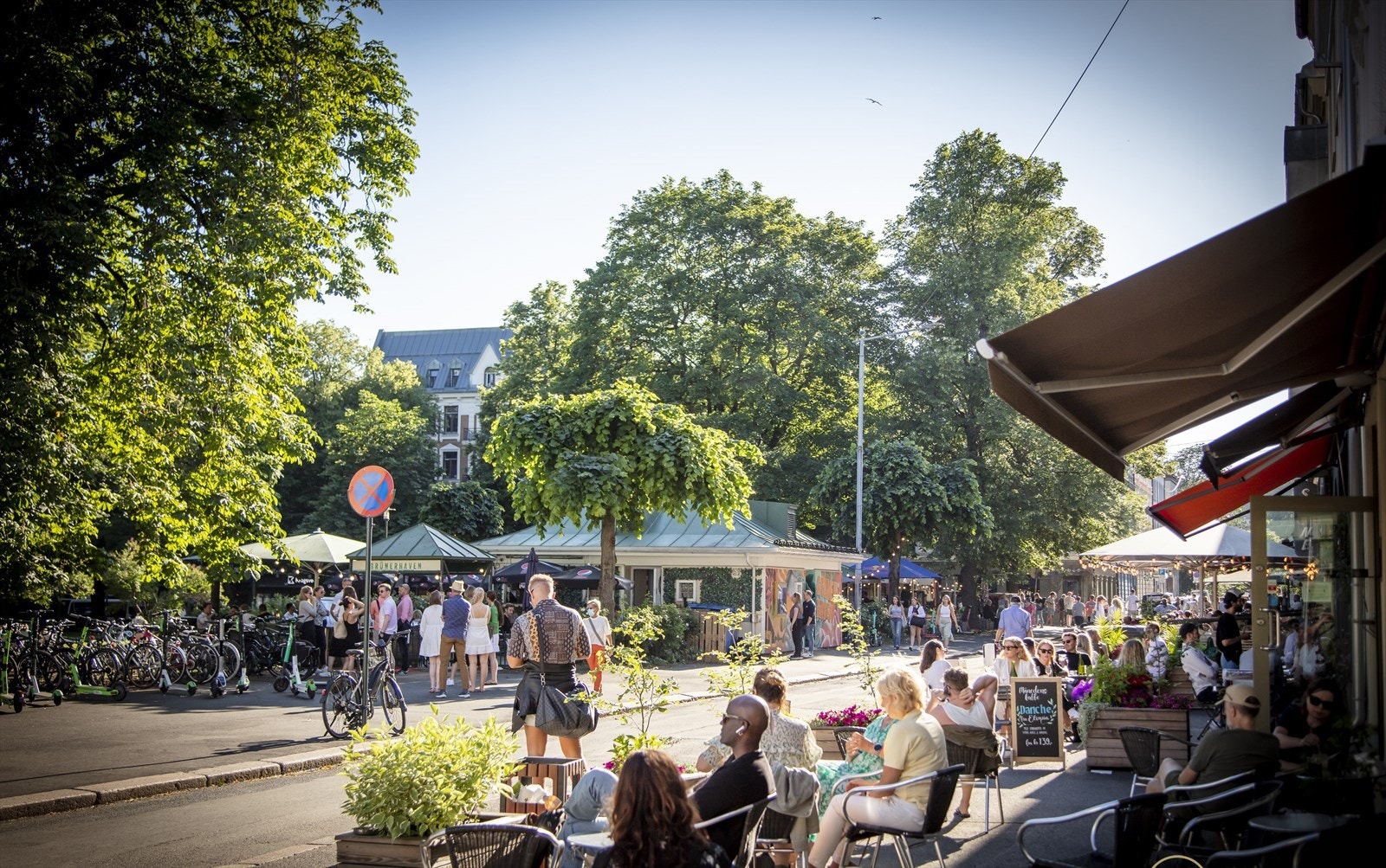 Områdebilde. Galleribilde