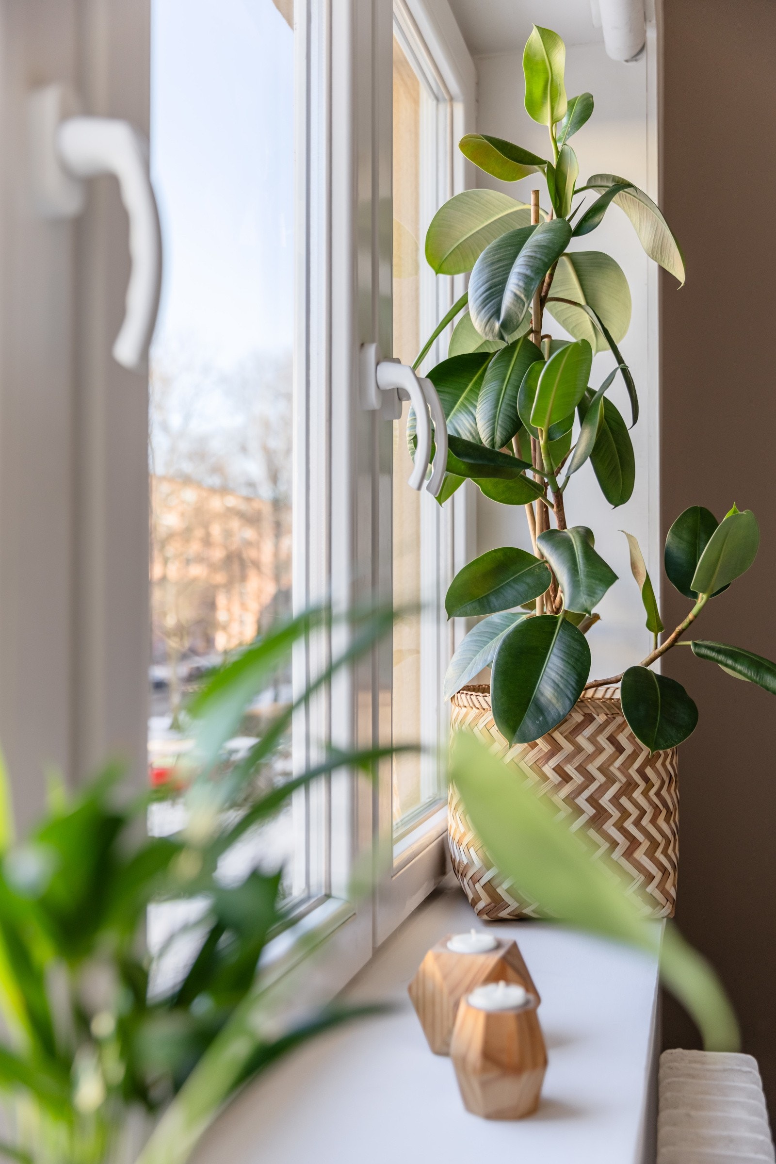 Utenfor soverommet er rolig gårdsrom. Galleribilde