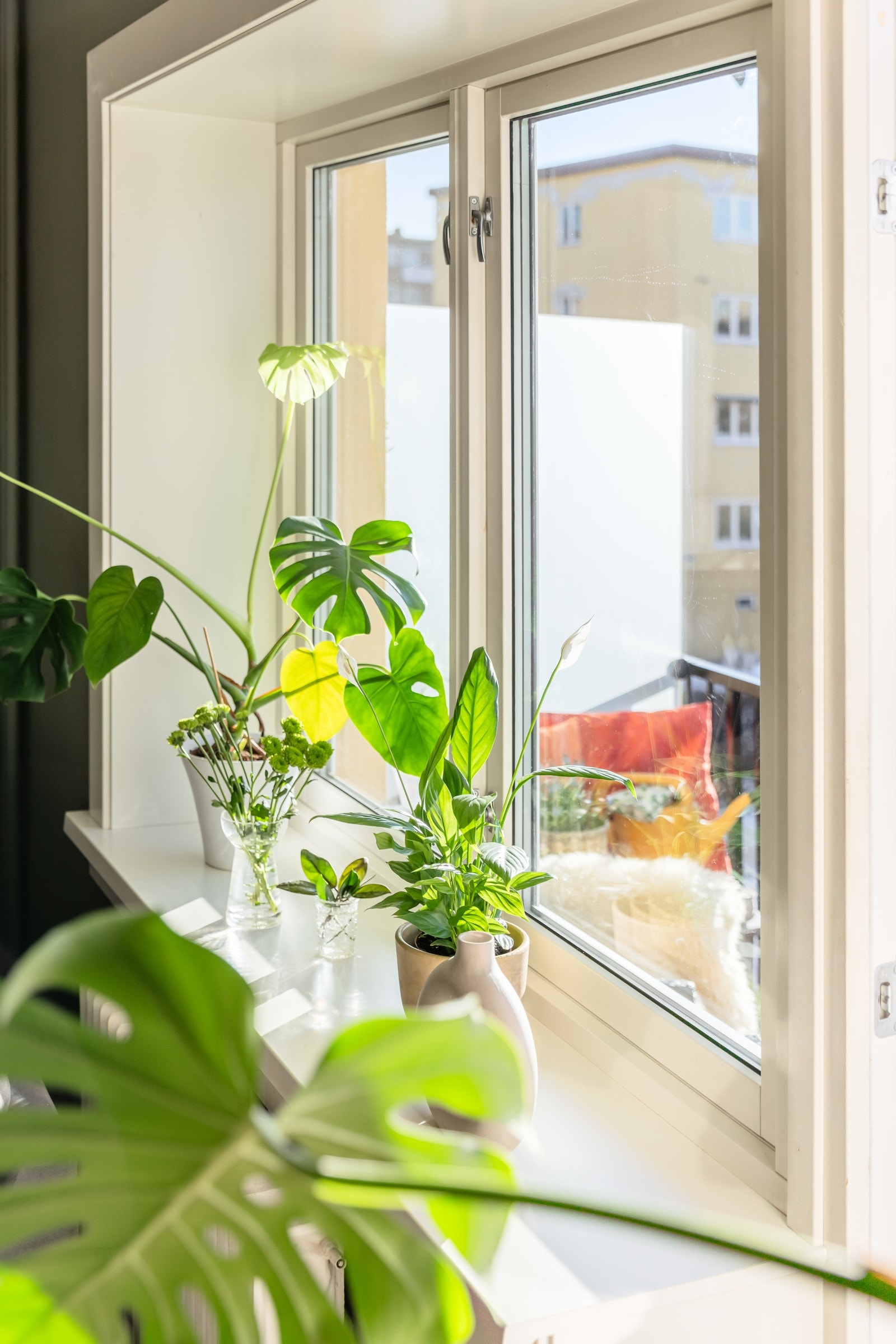 Samtlige rom i dette hjemmet vender ut mot rolig bakgårdsområder. Galleribilde