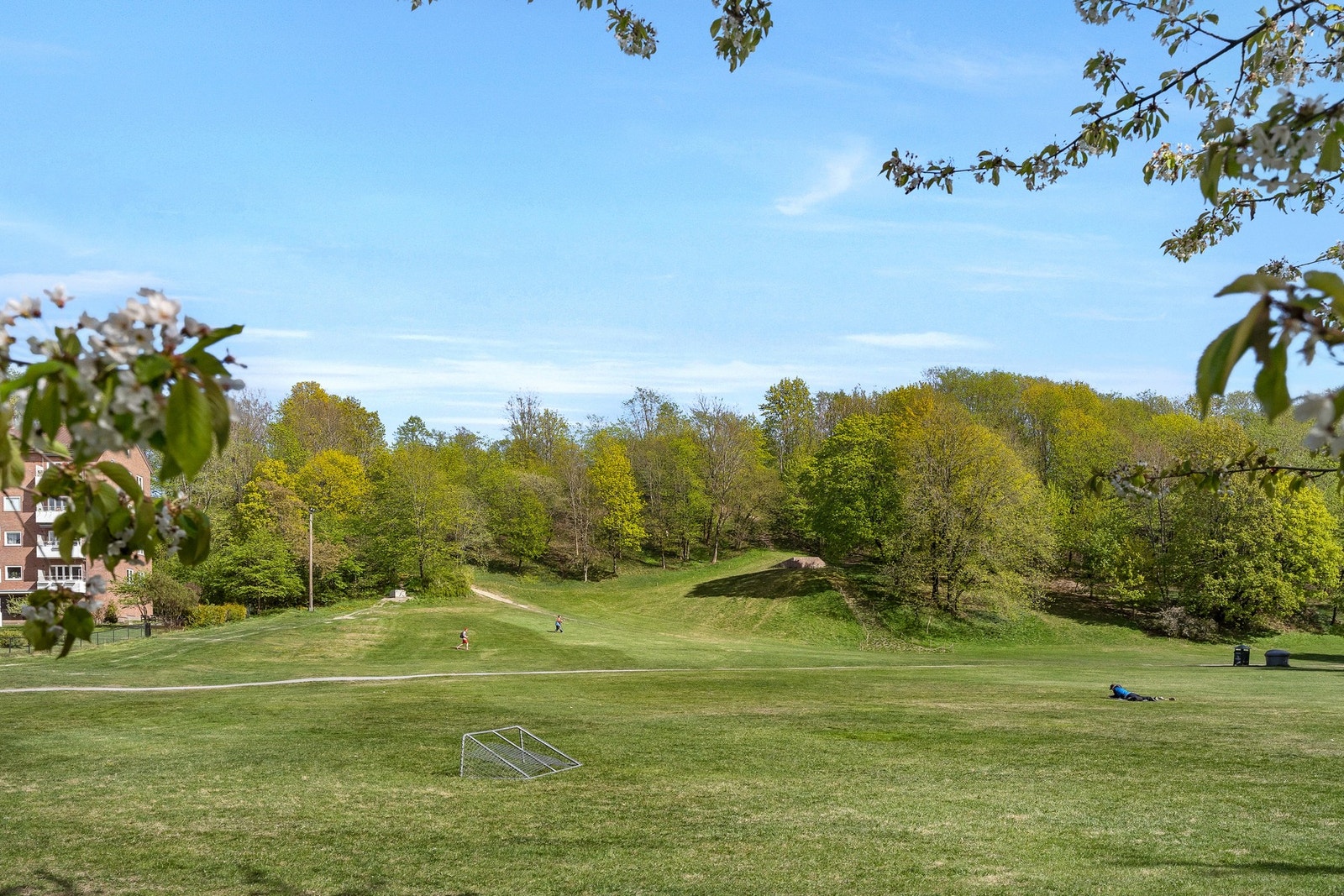 Ola Narr parken med hundepark nedenfor Carl Berners plass Galleribilde