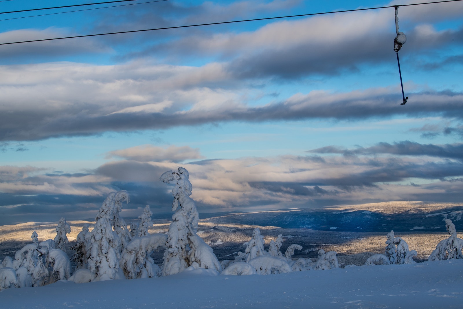 Heistur i hyggelige omgivelser. Galleribilde