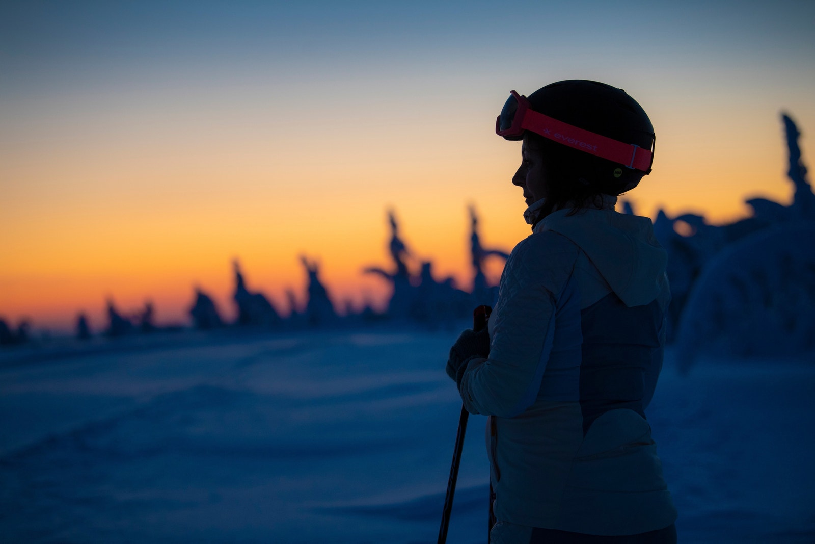 Solnedgang i Birkenåsen. Galleribilde