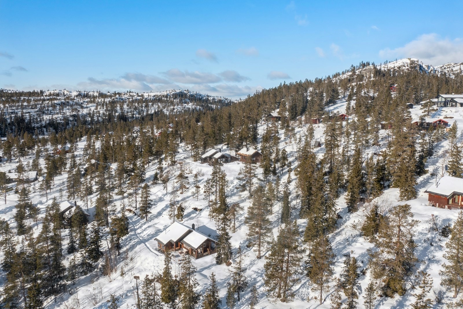 Husk visningspåmelding Galleribilde