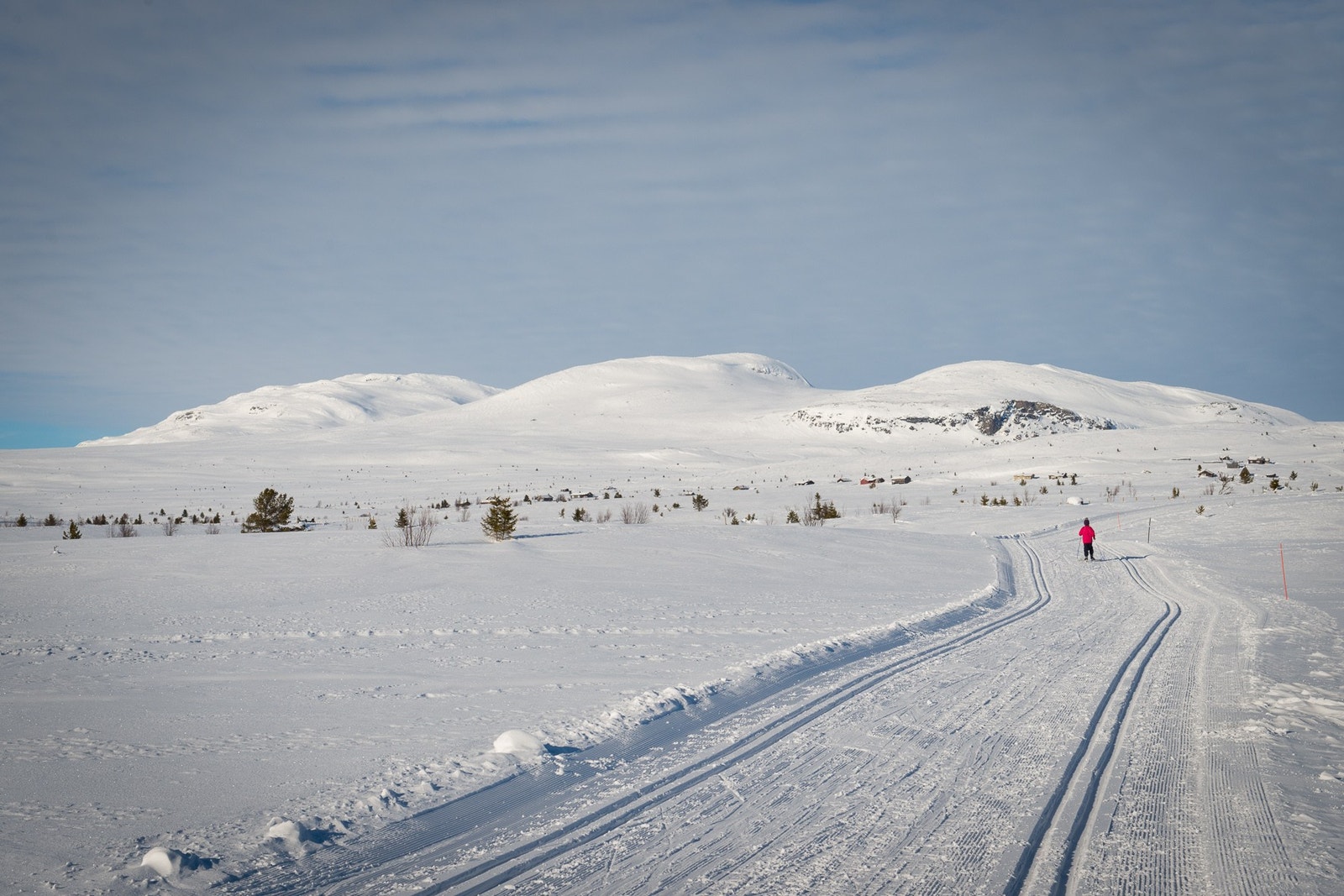 Milevis med skiløyper Galleribilde