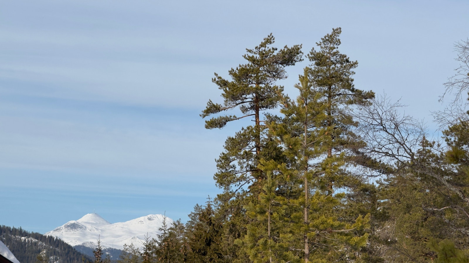 Utsikt fra tomte området Galleribilde