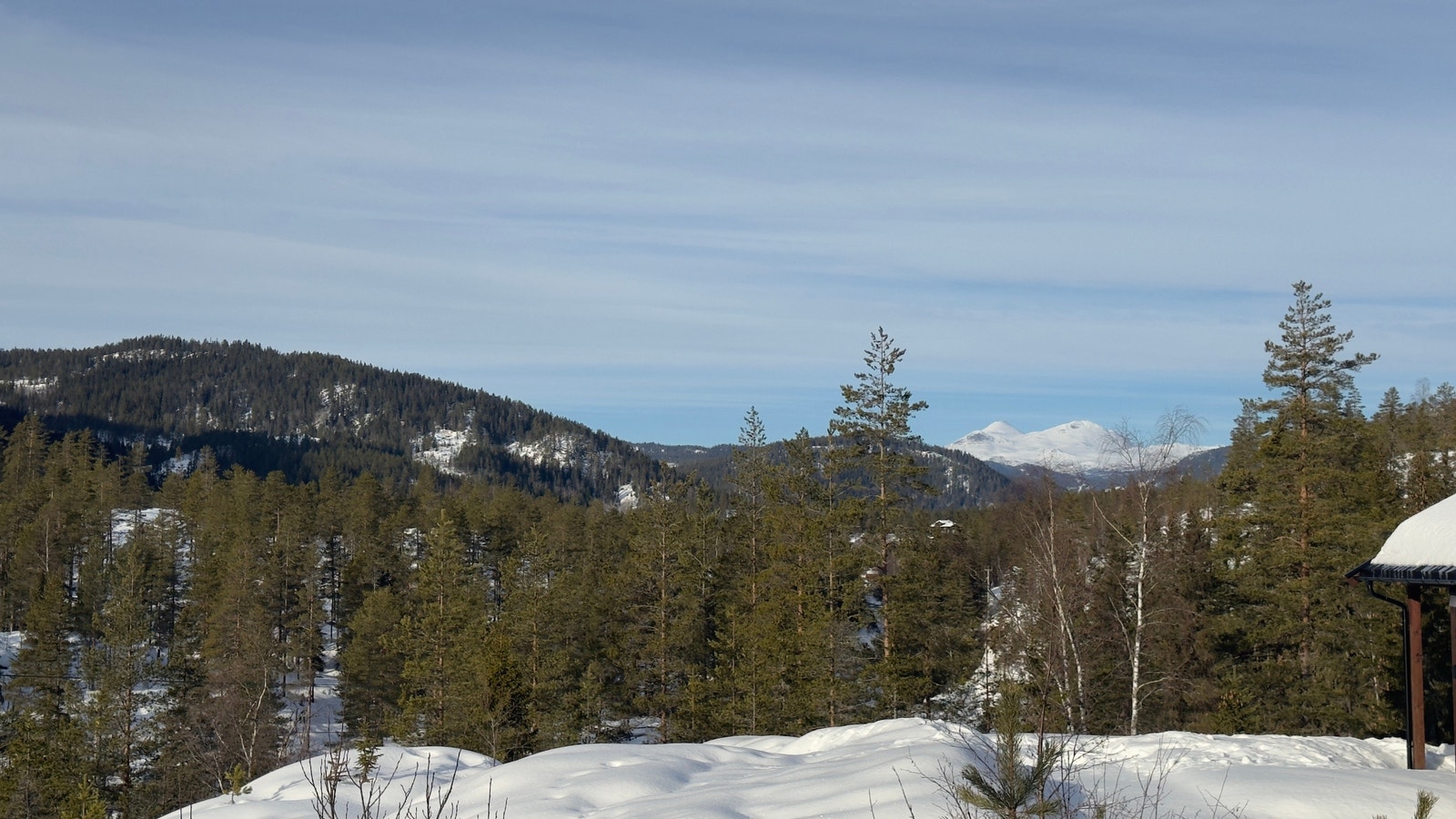 Utsikt fra tomte området Galleribilde