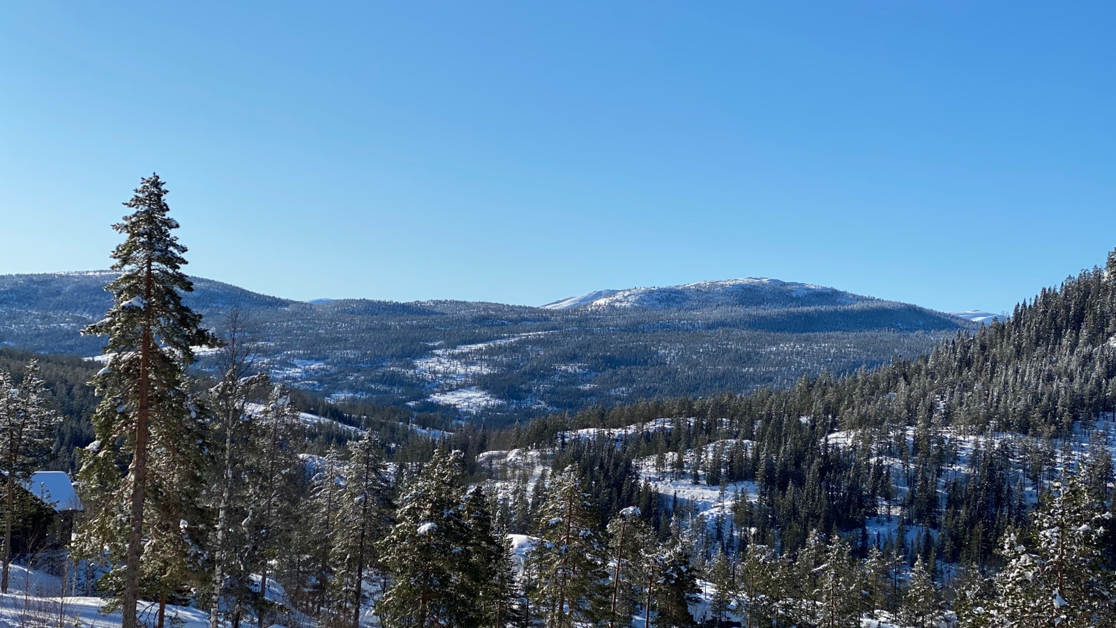 Utsikt fra tomte området Galleribilde