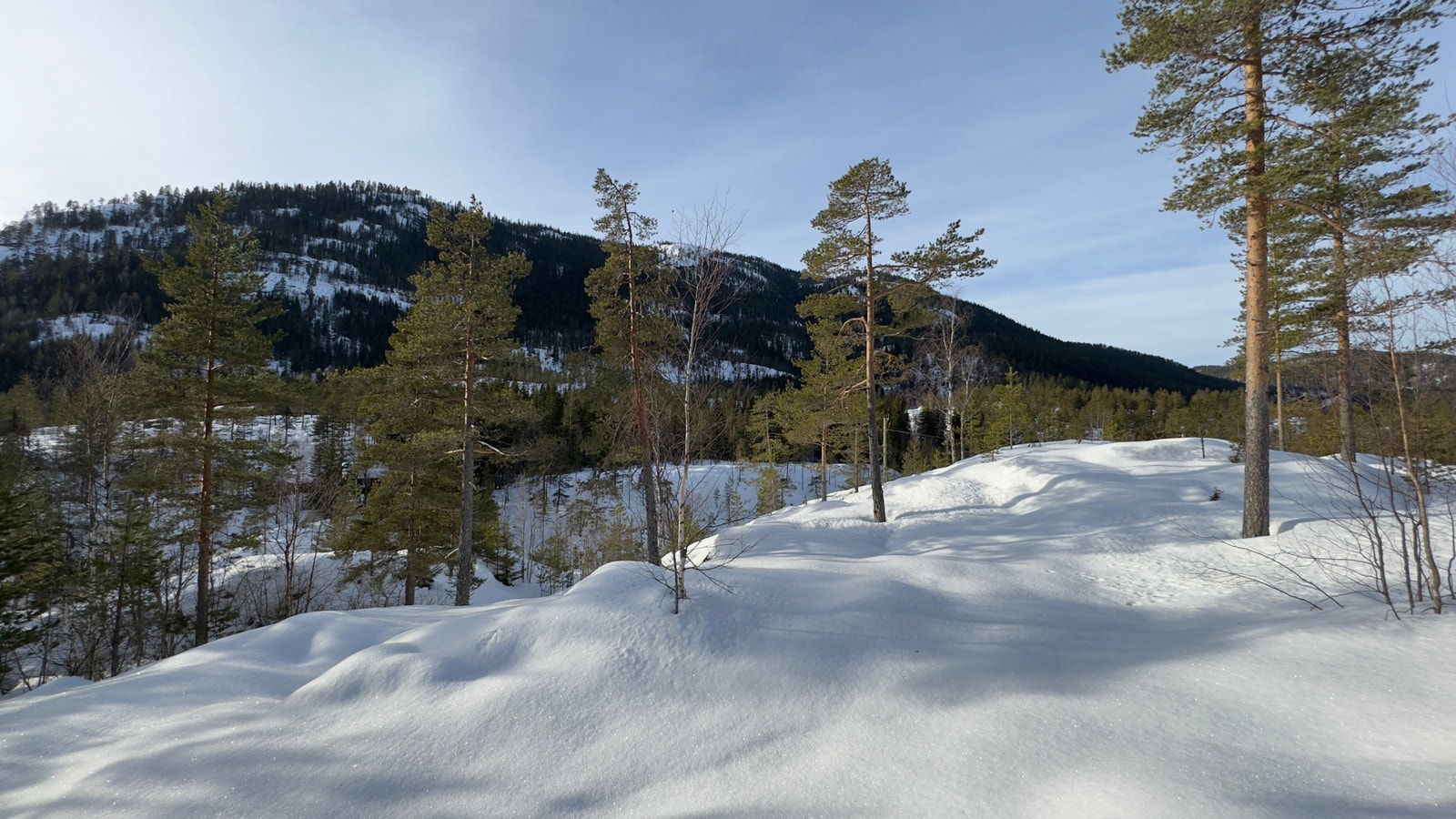 Utsikt fra tomte området Galleribilde