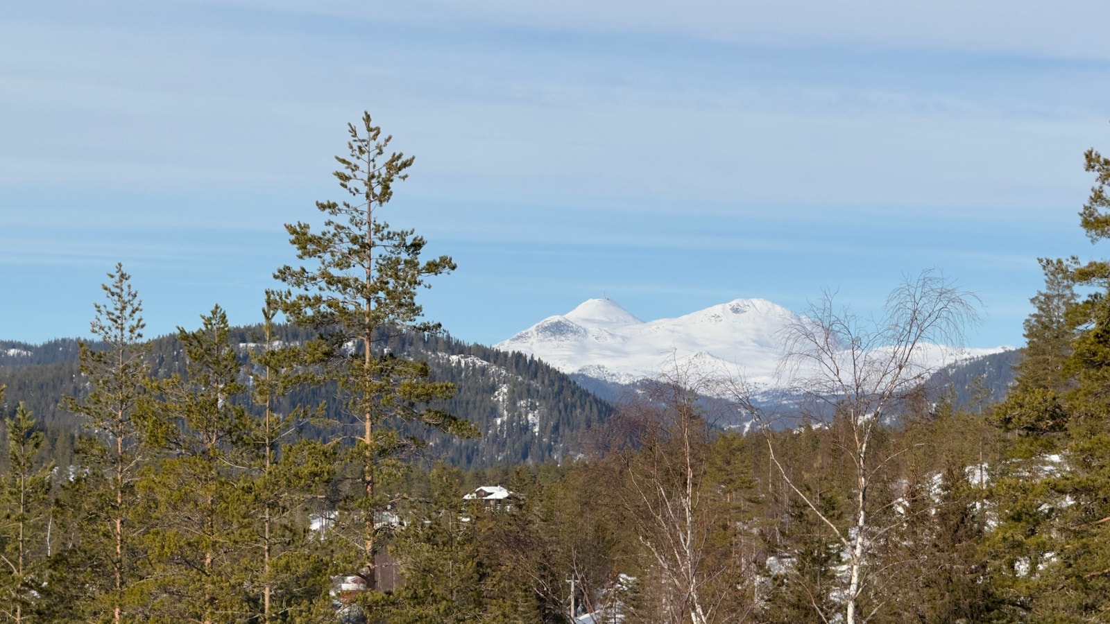 Utsikt fra tomte området Galleribilde