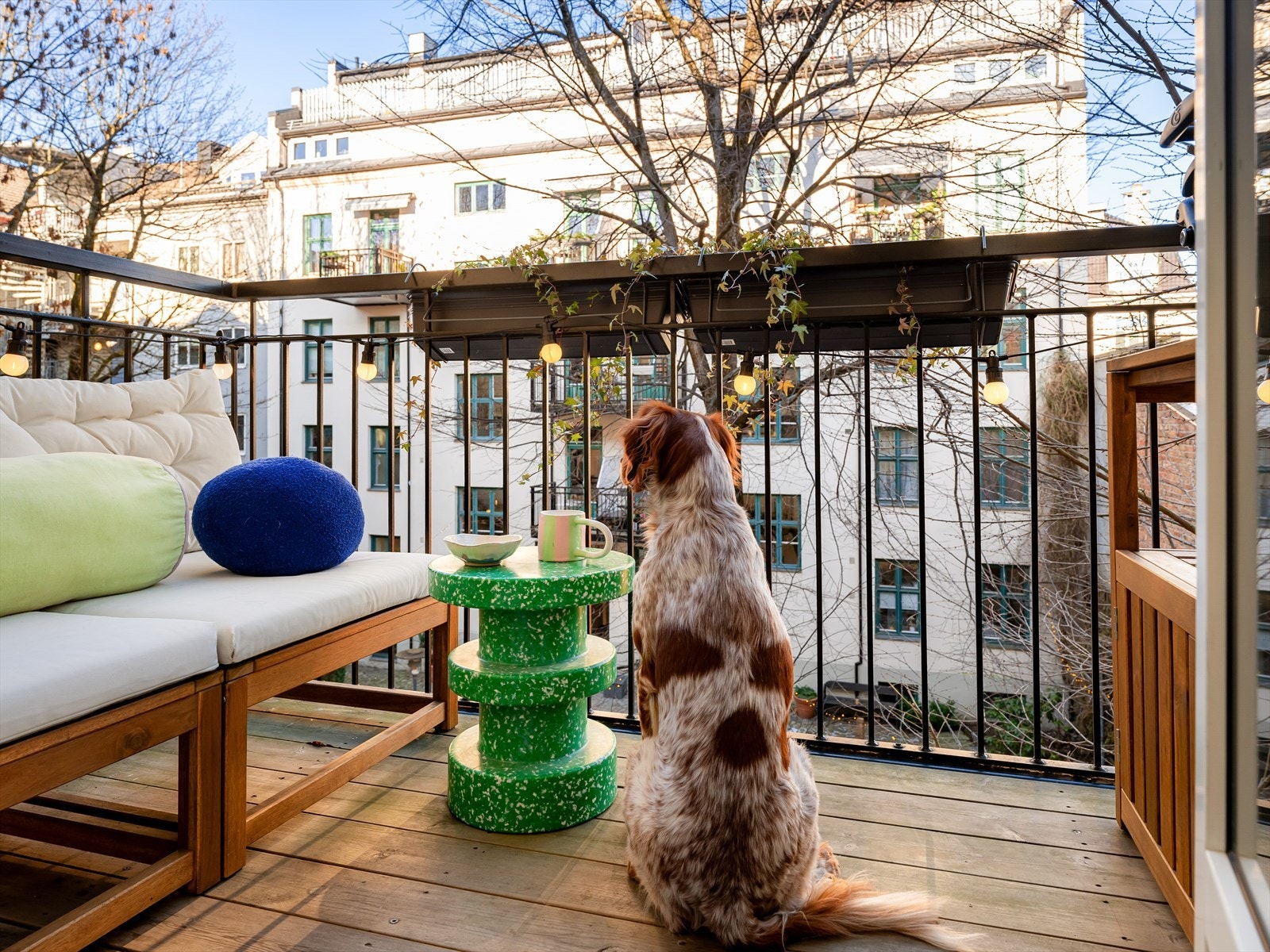 Her ute trives både to- og firbente:-) Galleribilde