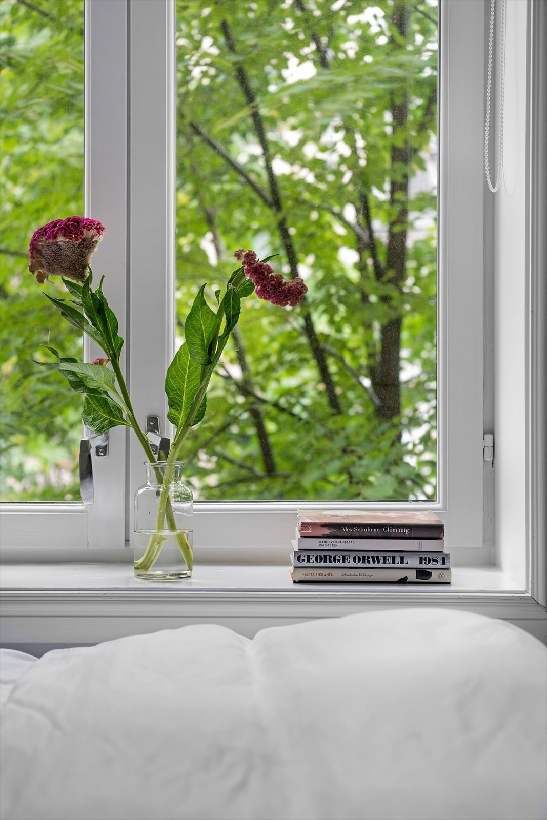 Du kan våkne til fuglekvitter, drikke kaffe på senga og hvile øynene på de flotte trærne i bakgården på sommeren. Galleribilde