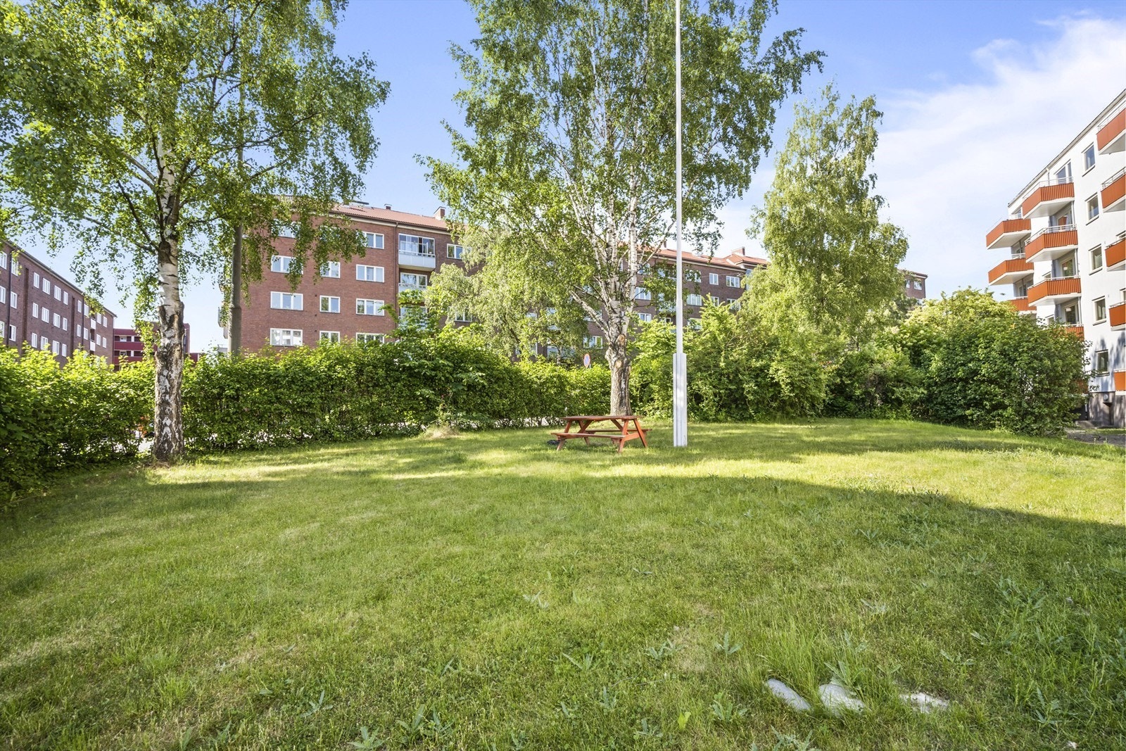 Sameiet har en felles hage til glede for alle beboerne. Galleribilde