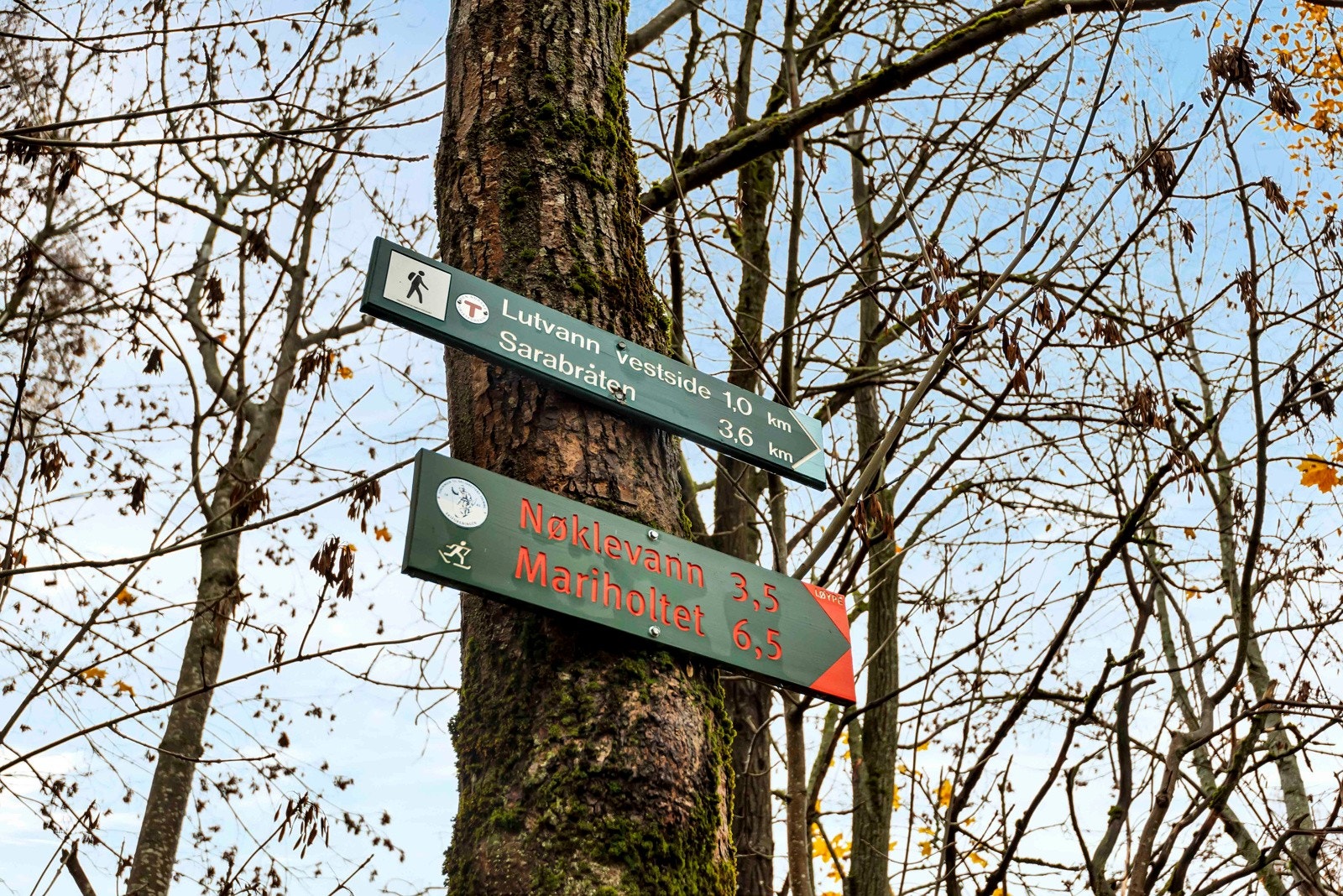 Fantastiske turområder i eget nabolag! Galleribilde