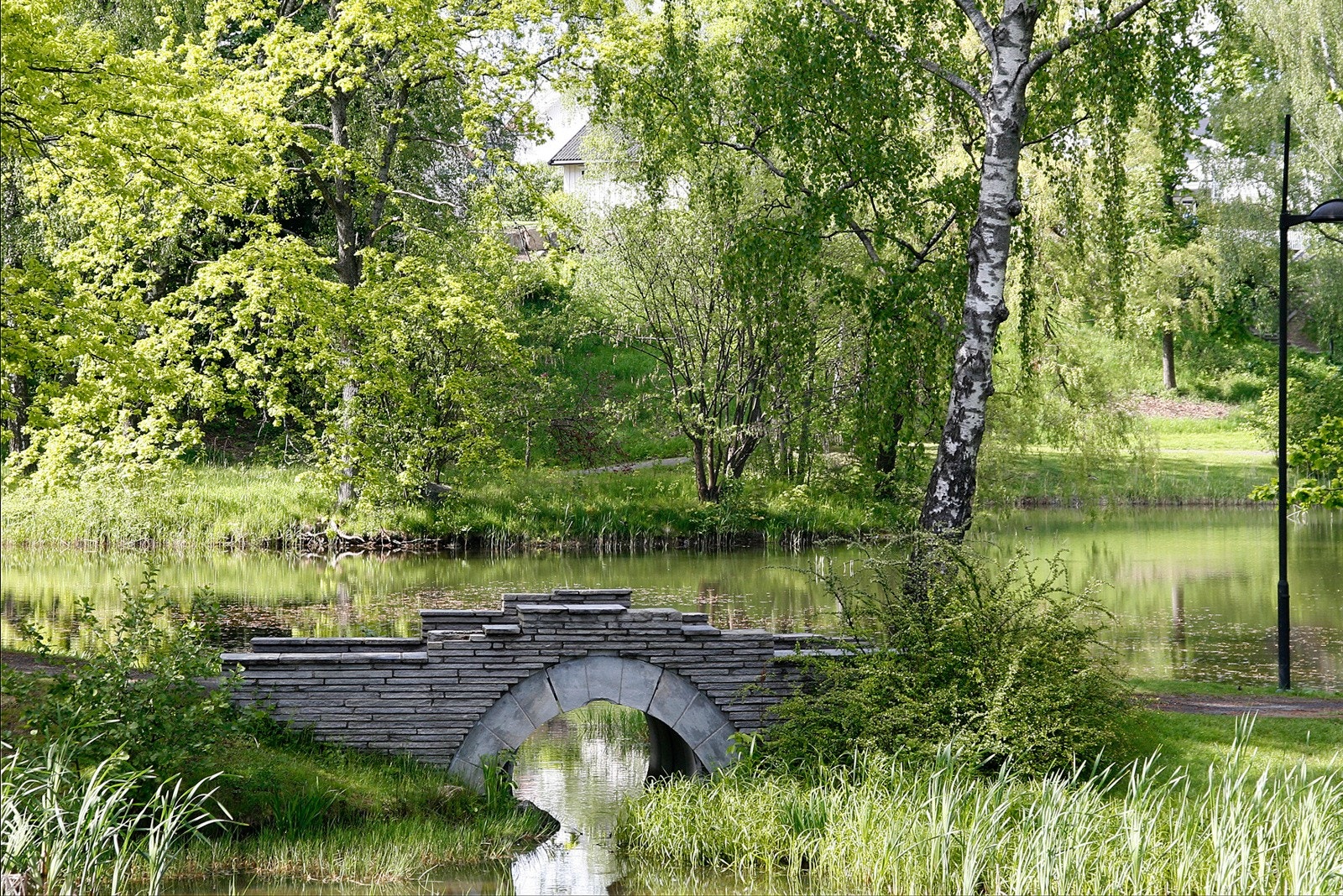 På Rosanes har du Rosahaugparken, en hyggelig perle med store plenområder, to dammer, fotballbane og bakker som benyttes til aking om vinteren. Galleribilde