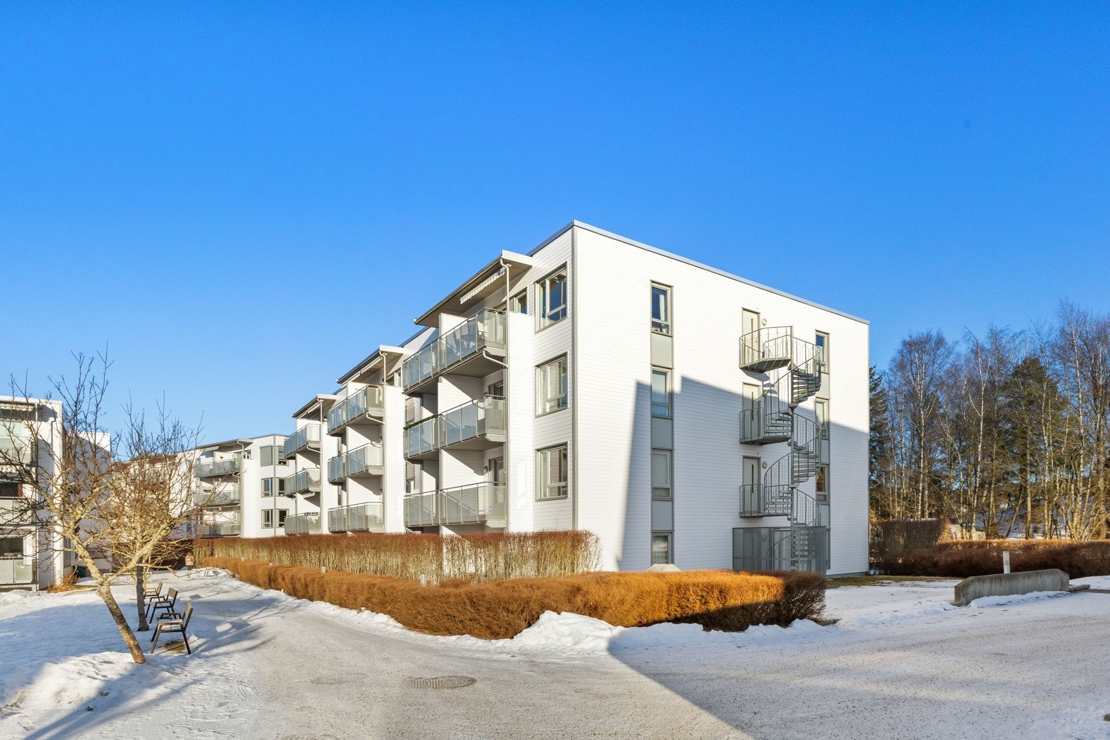 Velkommen til Skullerudskogen Galleribilde