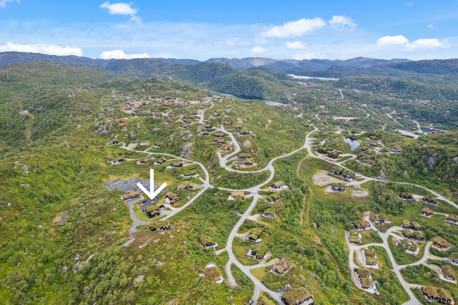 Midt i smørøyet med flott fjellflora rett rundt - her er det bare å spenne på seg ski eller fjellsko og gå rett ut i milevis med terreng Galleribilde