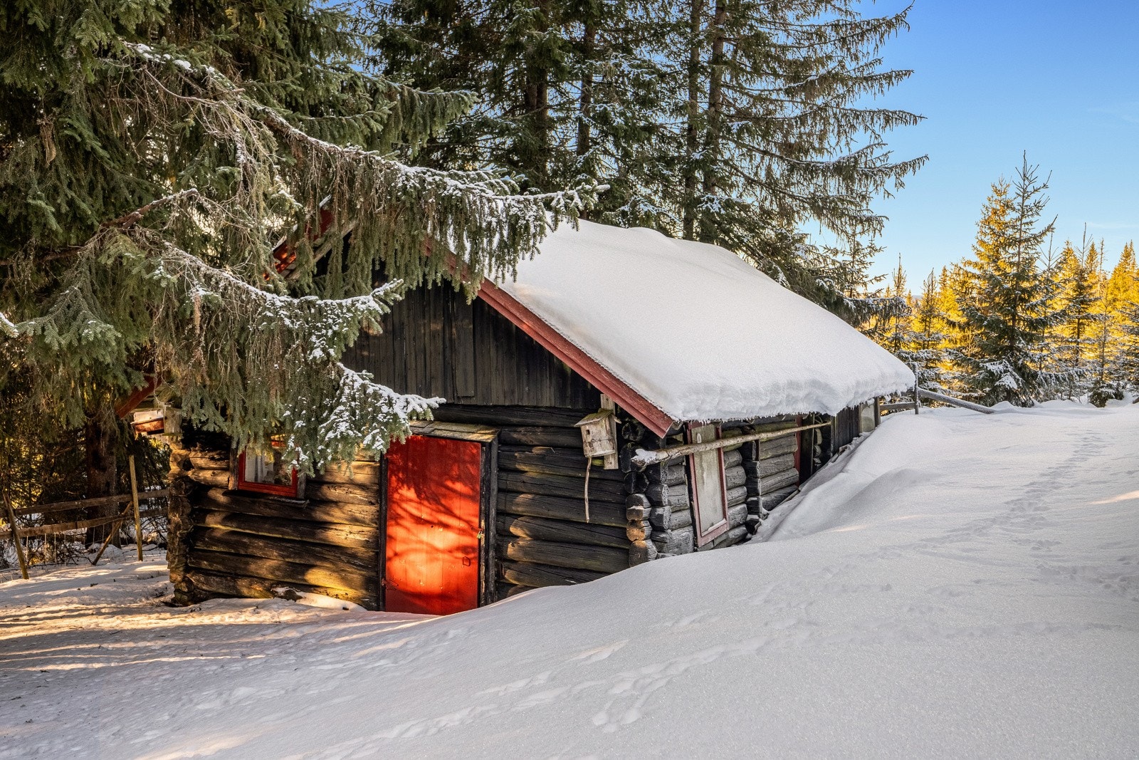 Uthus med utedo. Galleribilde