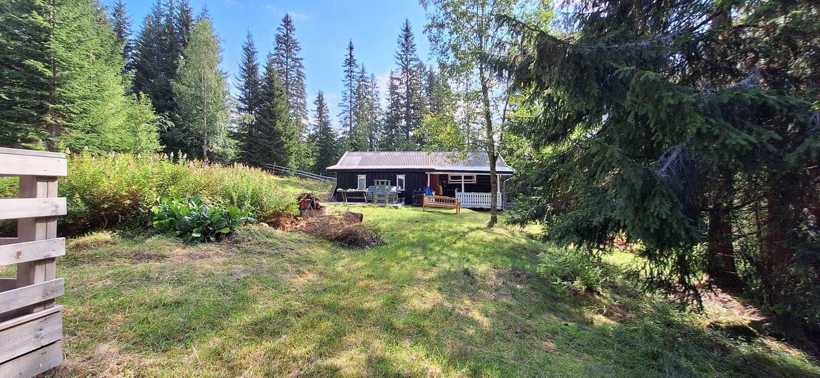 Privat sommerbilde Galleribilde