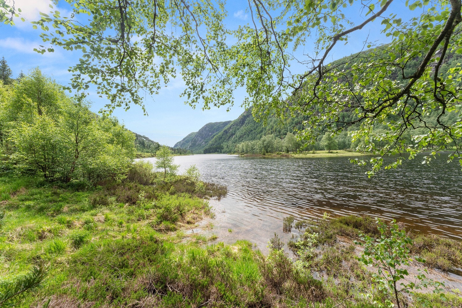 Fin utsikt nedover dalen Galleribilde