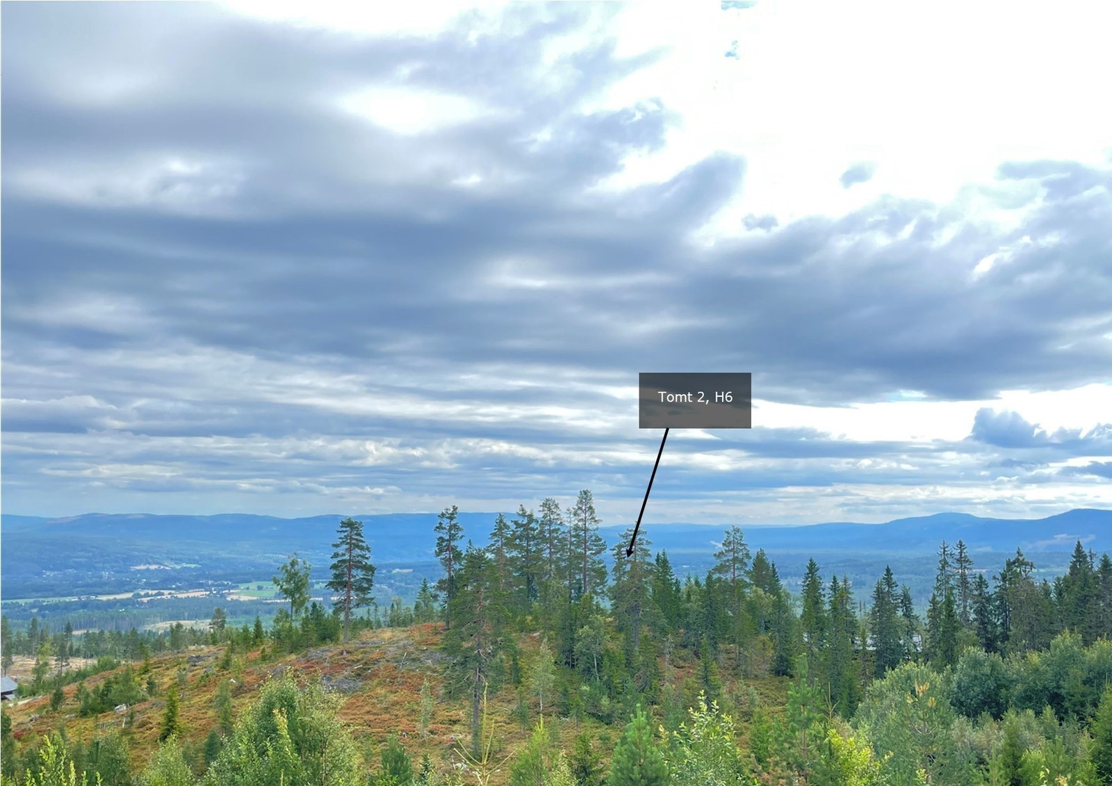 Kremtomt - på en egen kolle. Sol fra tidlig morgen til sen kveld. Galleribilde