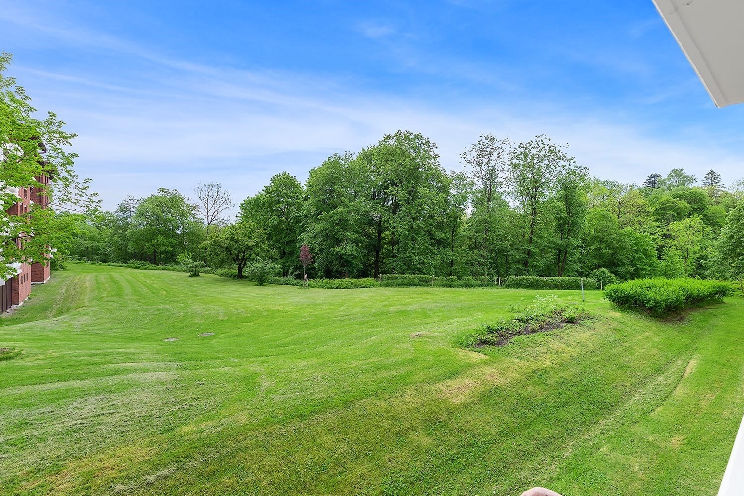 Friområde Galleribilde