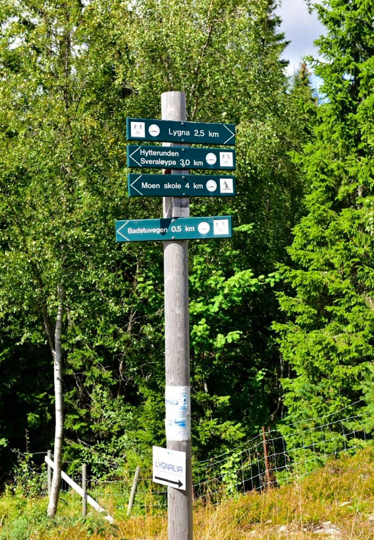 Godt merkede turstier Galleribilde