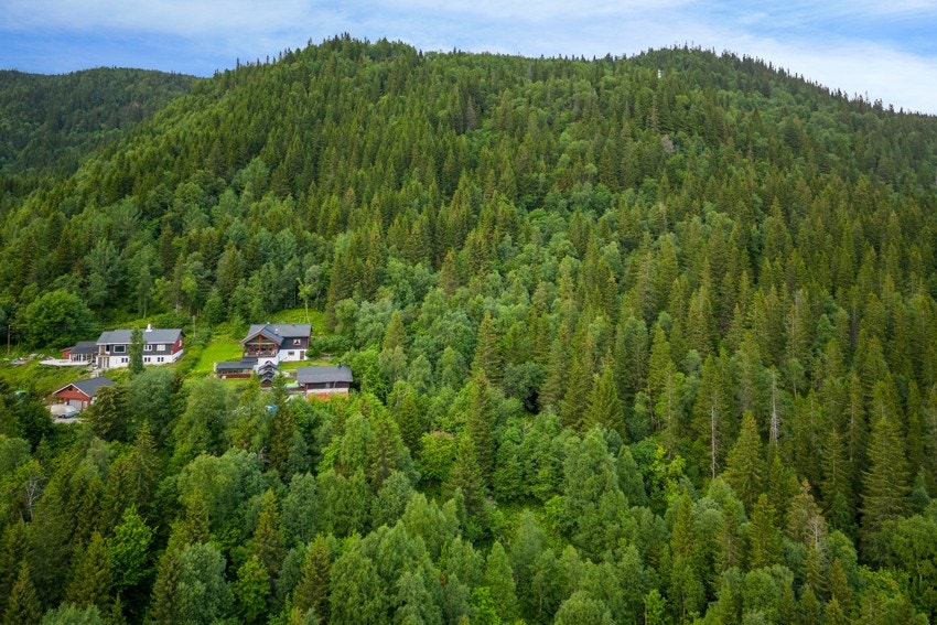 Kort vei til både skole, barnehage, turområder og kollektivtransport. For den turlystne byr nærmiljøet på flere flotte turmuligheter. Galleribilde