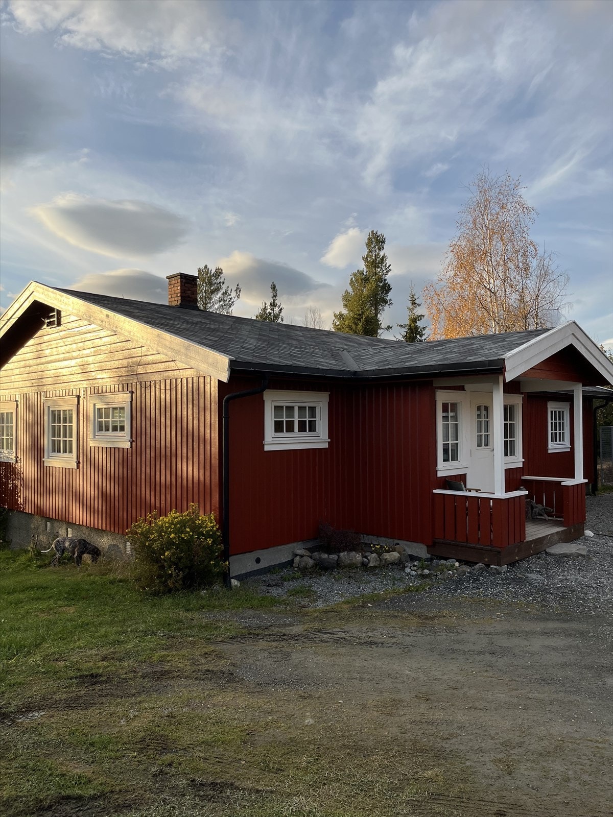 Selgers eget sommerbilde. Galleribilde