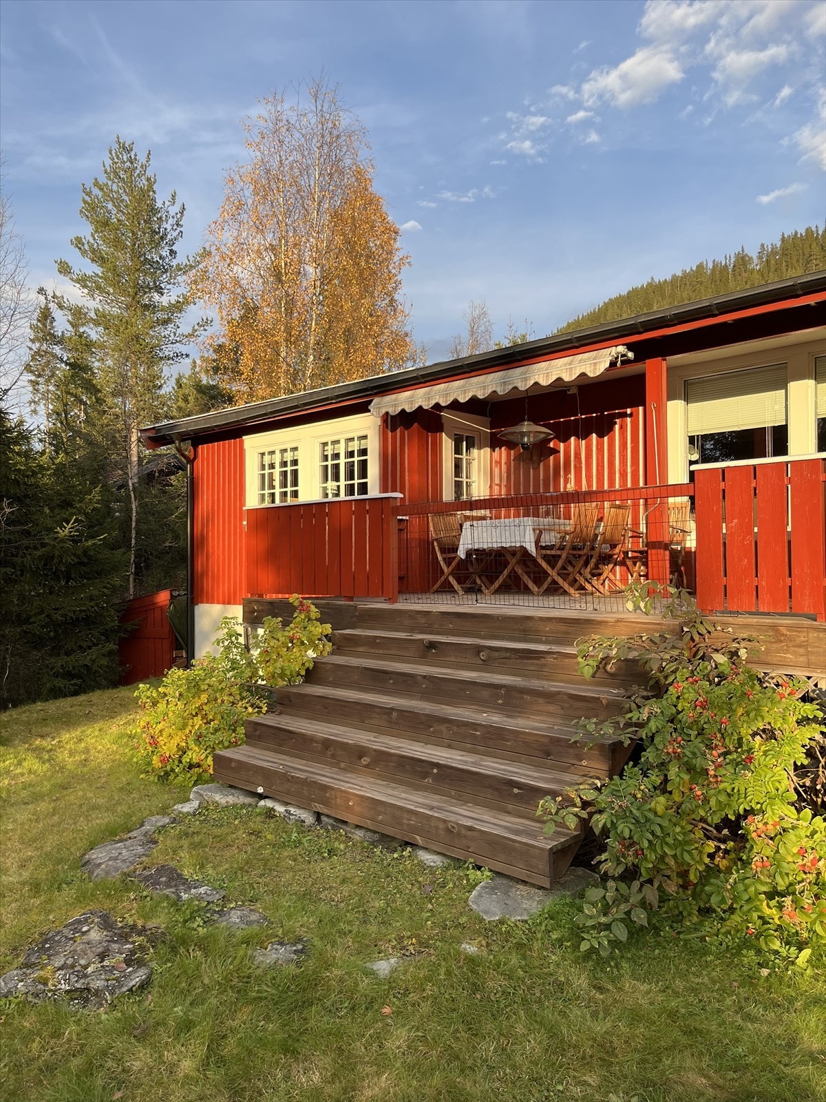 Selgers eget sommerbilde. Galleribilde
