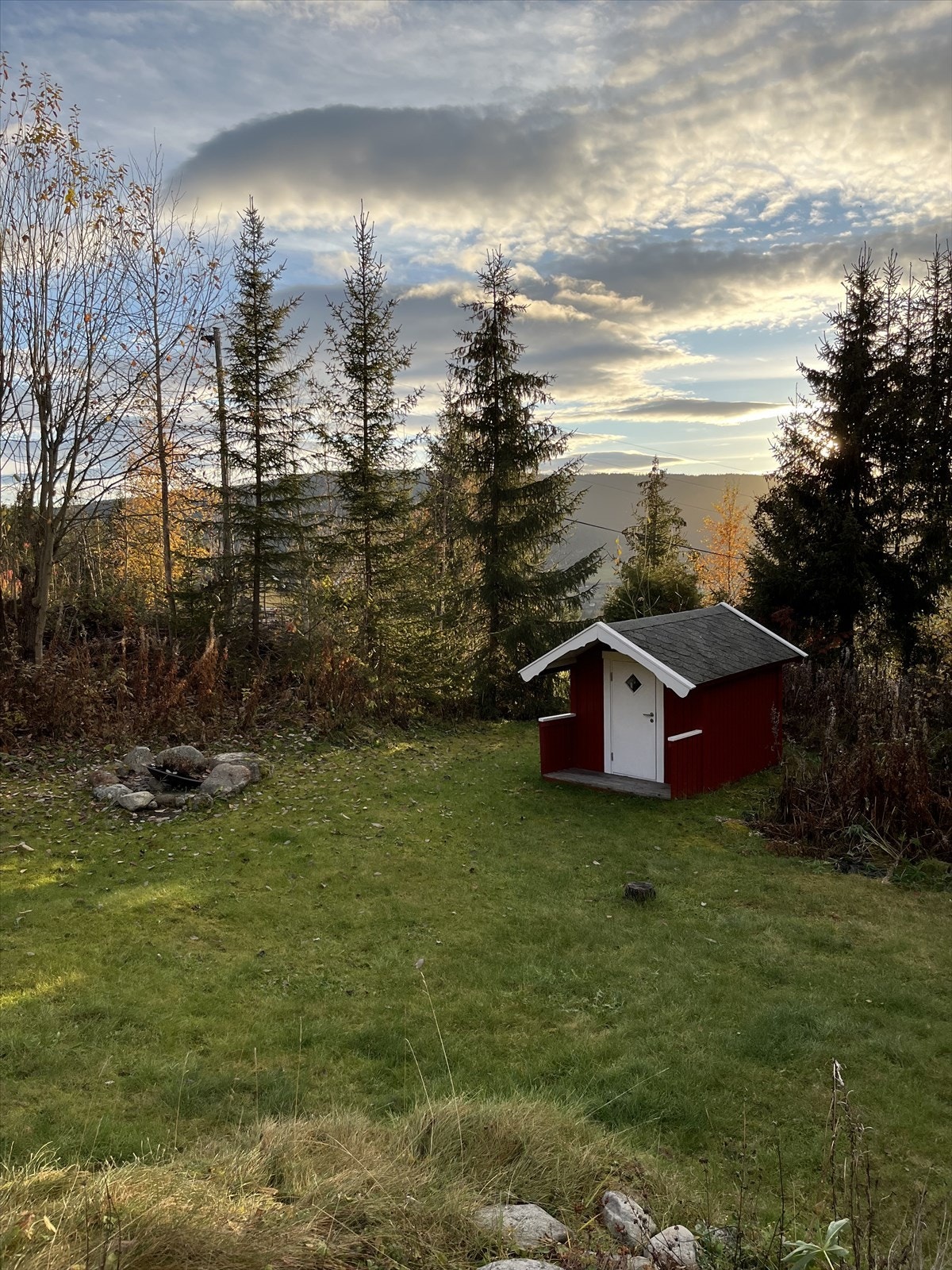 Selgers eget sommerbilde. Galleribilde