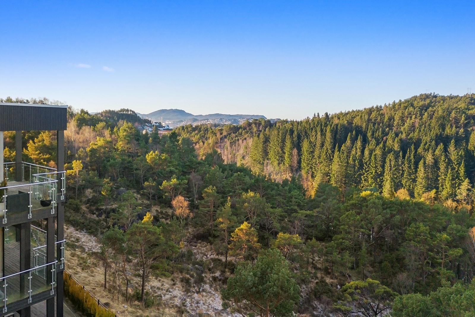 Utsikt fra tomten Galleribilde