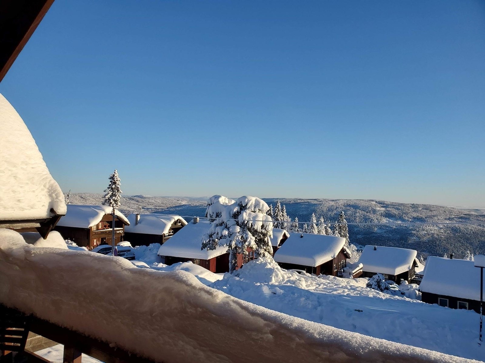 Selgers private bilde. Galleribilde