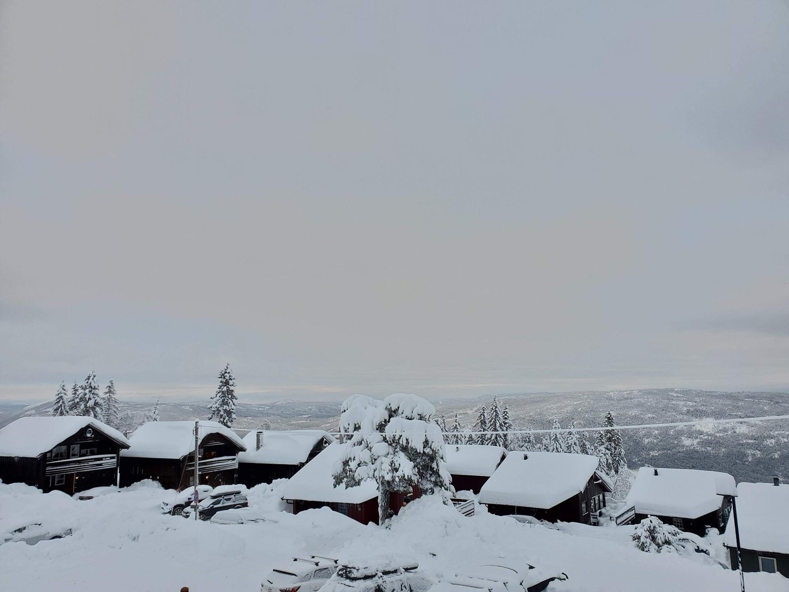 Selgers private bilde. Galleribilde