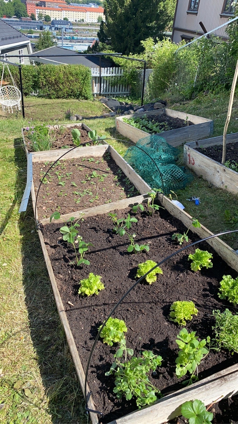 Selgers private bilder - Sameiet tilbyr flere hageredskapskasser hvor beboerne kan dyrke sine egne grønnsaker, urter og blomster. Dette gir en flott mulighet til å dyrke mat og skape sitt eget grønne paradis, samtidig som det fremmer fellesskap og bærekra Galleribilde