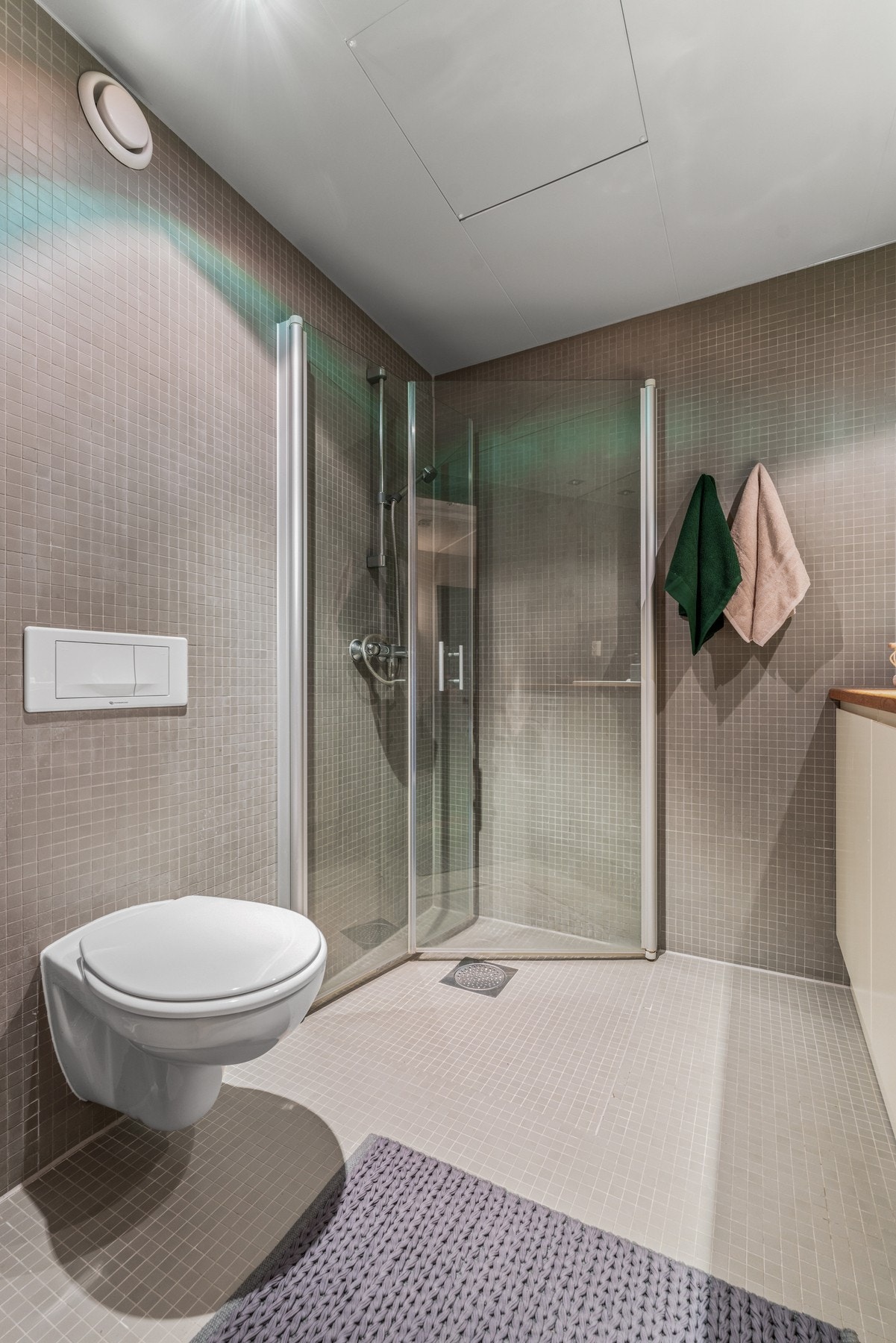 Dusjnisje og vegghengt toalett. Galleribilde